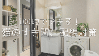 猫の侵入＆コードかじり防止！100均でできる安全対策3選