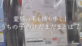 ペットの毛を持ち歩ける『うちの子のけだまだま』って知ってる？購入方法や使い方をご紹介！
