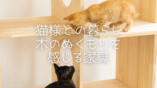 猫様の毎日に、木のぬくもりを。家具としても美しいキャットウォーク付き猫家具