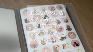 大人女子のためのシンプルでおしゃれなシル活｜セリアではじめる小さな楽しみ